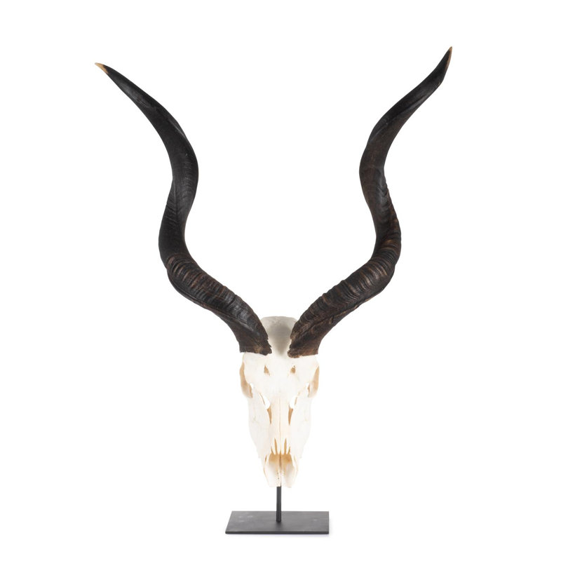 Mounted Kudu Skull, 46" H x 24" W x 10" D