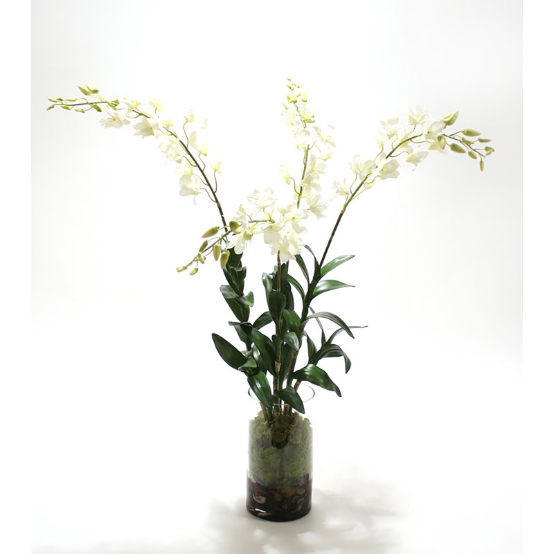 Arrangement de soie en cylindre, Blanc