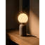 Steel Desk Lamp