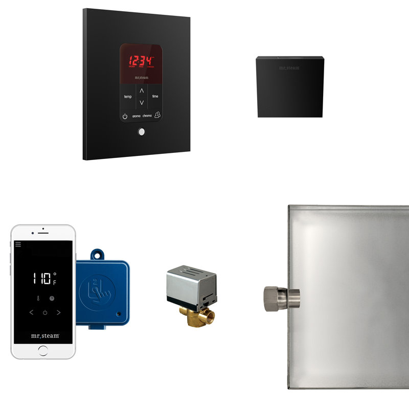 Residential Steam Generator Control, Matte Black