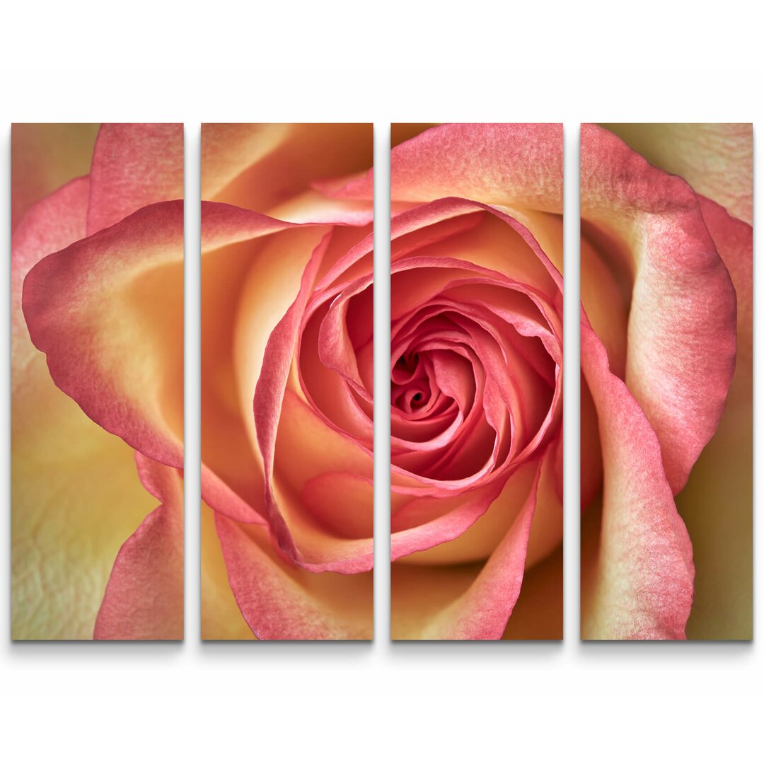 4-tlg. Leinwandbilder-Set Pinke Rose