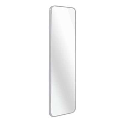 Door Mirror