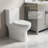 Dual Flush One-Piece Toilet - Elongated Comfort Height 16.5" Floor Mounted Toilet, 1.1/1.6 GPF WaterSense & CUPC Certified, Soft Close Seat, Skirted Design, Map 1000, White Ceramic