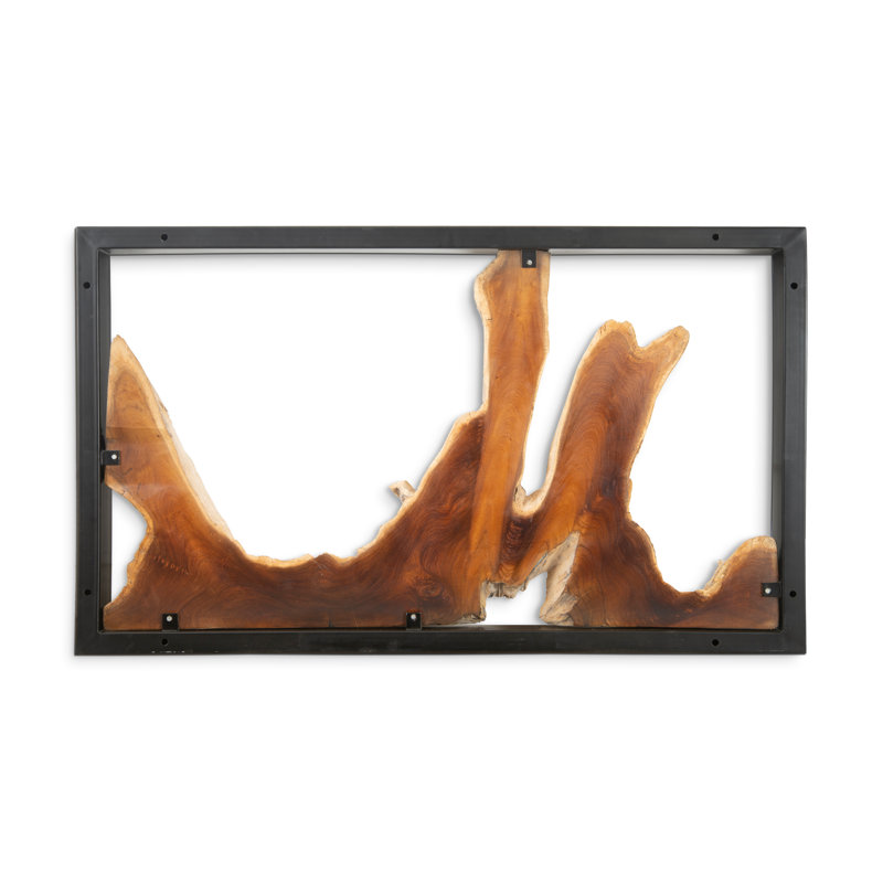 Framed Root Wall Décor
