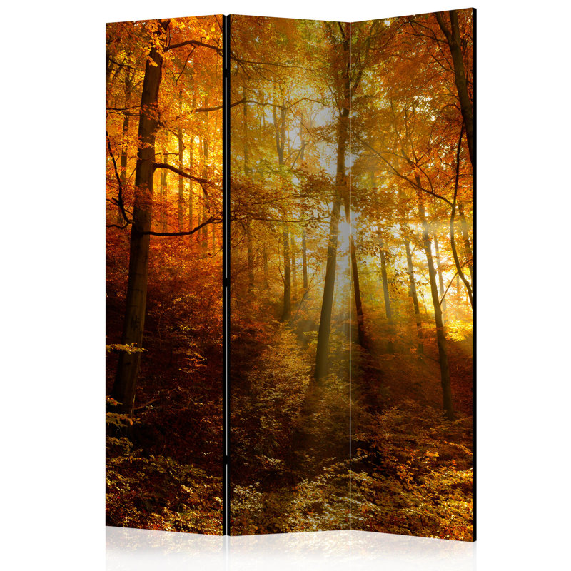 Loris 172cm H Folding Room Divider, 3