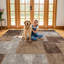 Tapis moderne moderne au design épuré et contemporain-1814706954-1814706957