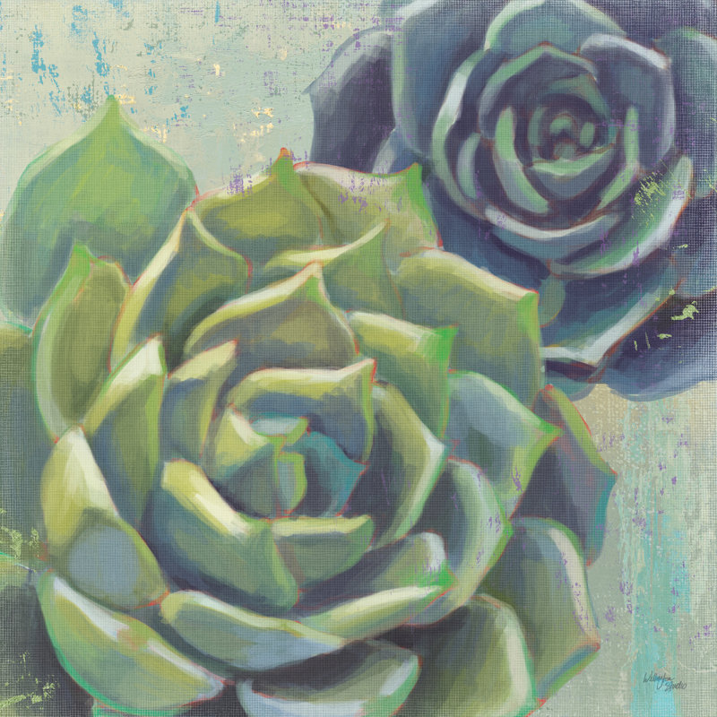 Succulents I Crop - Wrapped Canvas Painting, 76cm H x 76cm W x 3.8cm D