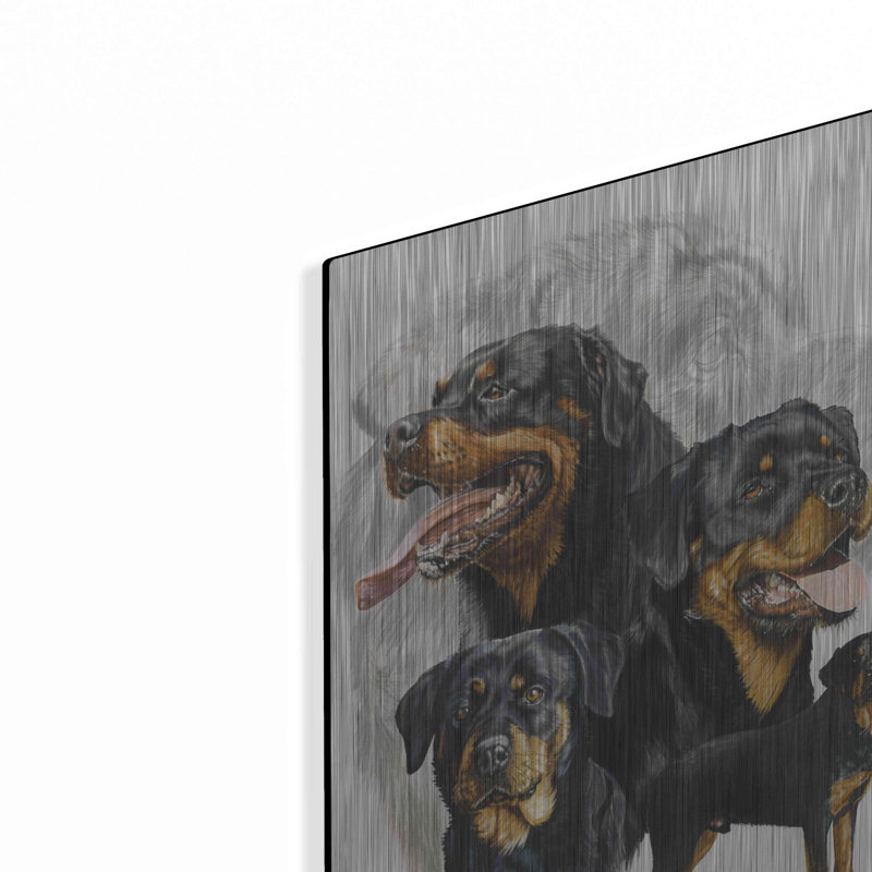 Red Barrel Studio® «Rottweiler» par Barbara Keith, Meta Rottweiler par Barbara Keith - impression sans cadre sur métal
