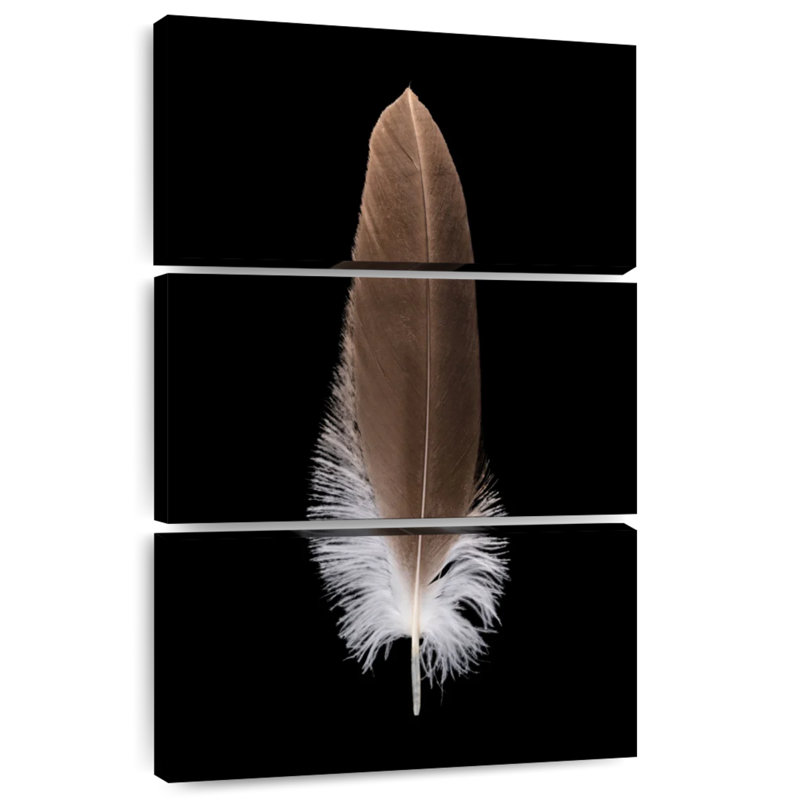 Kerner Eagle's Brown Feather, 32" H x 20" W