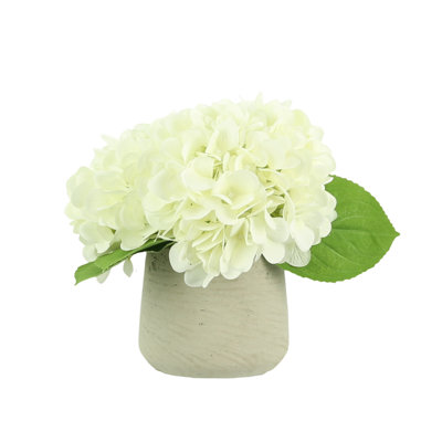 Arrangement floral d'hortensias en pot