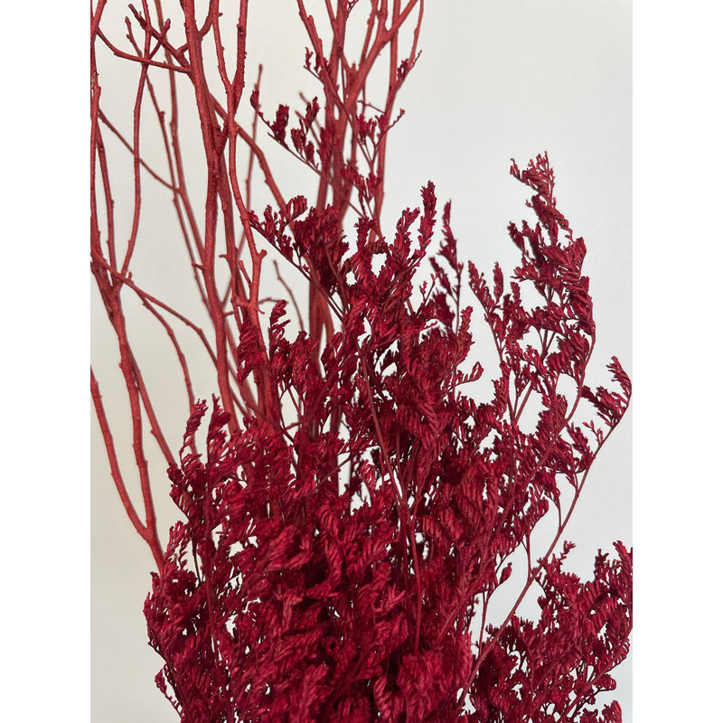 Caspia avec tiges de branches de bouleau