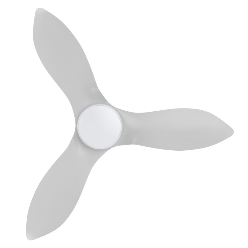 Cralg 45'' Ceiling Fan with LED Lights, White