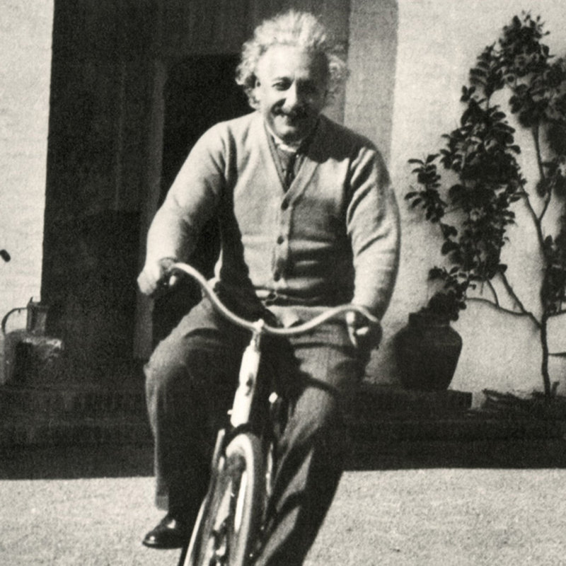 Albert Einstein (Bike), 20" H x 20" W