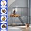 Cage à chat Felicita
