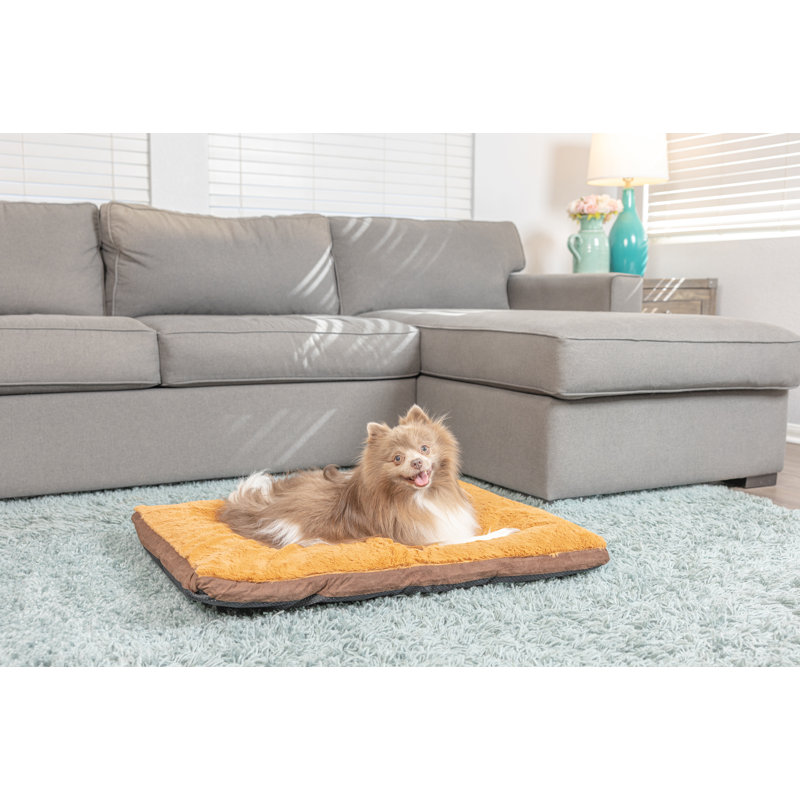 Medium Mocha and Earth Brown Faux Suede Orthopedic Pet Bed