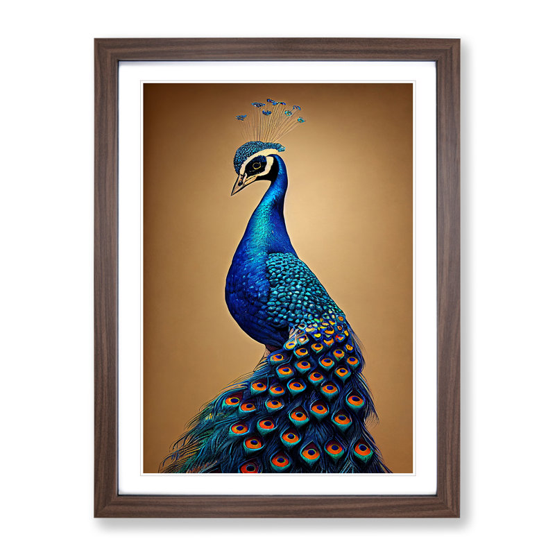 Entrancing Peacock - Single Picture Frame Print, 64cm H x 46cm W x 2cm D, Walnut
