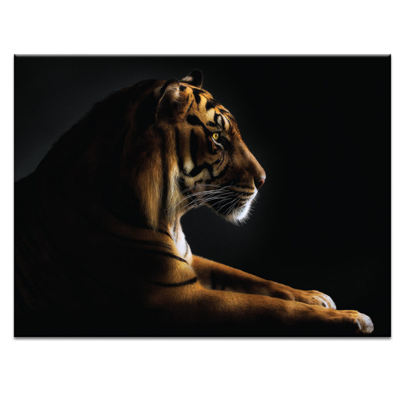 Wrapped Canvas Print, 76cm H x 102cm W