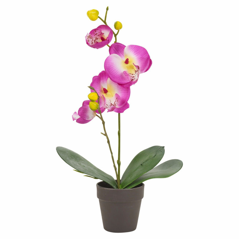 38cm Faux Flowering Plant in Pot, Purple, 38cm H x 10cm W x 9cm D