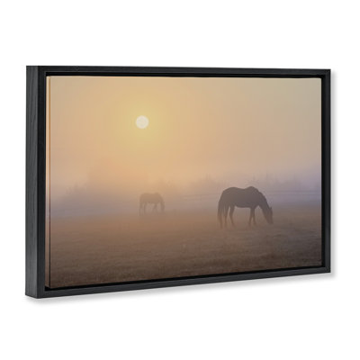 «Misty Sunlit Horses Floater» par Marty Hulsebos