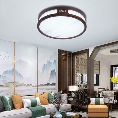 Philean 20.47" Ceiling Light LED Tri-Color Temperature Flush Mount Lighting Fixture