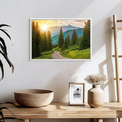 Forêt de pins du Colorado