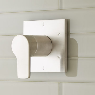 Hibiscus In Wall Shower Diverter with Valve