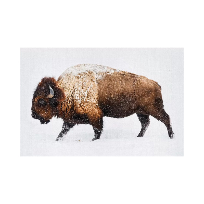 «Buffalo in the Snow» par Gal Design - impression sur toile tendue, H 26 po x l 40 po x 1,5 po