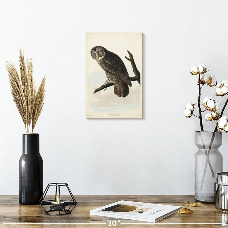 Brampt Great Cinereous Owl, 12" H x 8" W