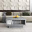 Caomhan Pedestal Coffee Table with Storage-1286931138