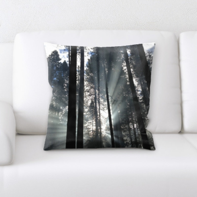 Coussin décoratif