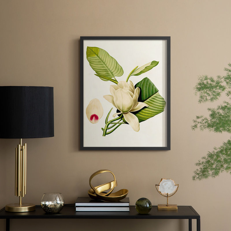 «Magnolia Flowers II», reproduction encadrée - bois massif, H 30 po x l 24 po, Noir, noir, noir, noir