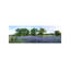 Field Of Bluebonnets, Hill County, Texas, USA - No Frame Panoramic Print on Canvas-1254889412