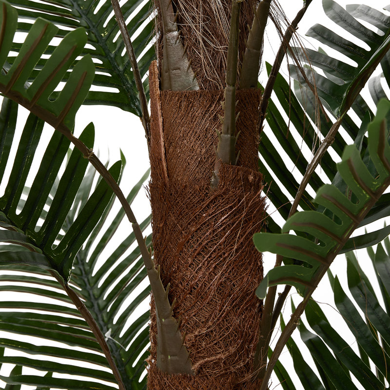 Plant, 120cm H x 80cm W x 80cm D
