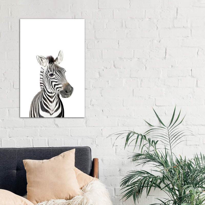 Baby Zebra - Wrapped Canvas Print, 101.6 cm H x 66.04 cm W x 3.175 cm D