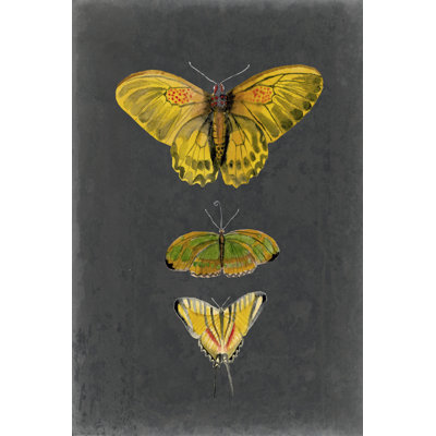 Papillons sur ardoise I