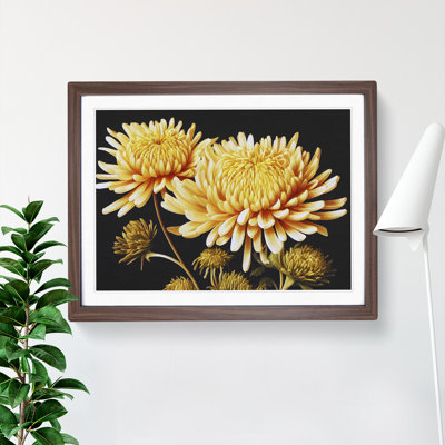 Astonishing Chrysanthemum Flowers - Single Picture Frame Print