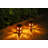 Solar Themed Silhouette Indoor/Outdoor Garden Décor Lantern-91435006