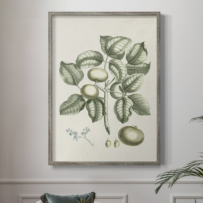 «Buchoz Tropicals I», reproduction encadrée - bois massif, H 11 po x l 9 po