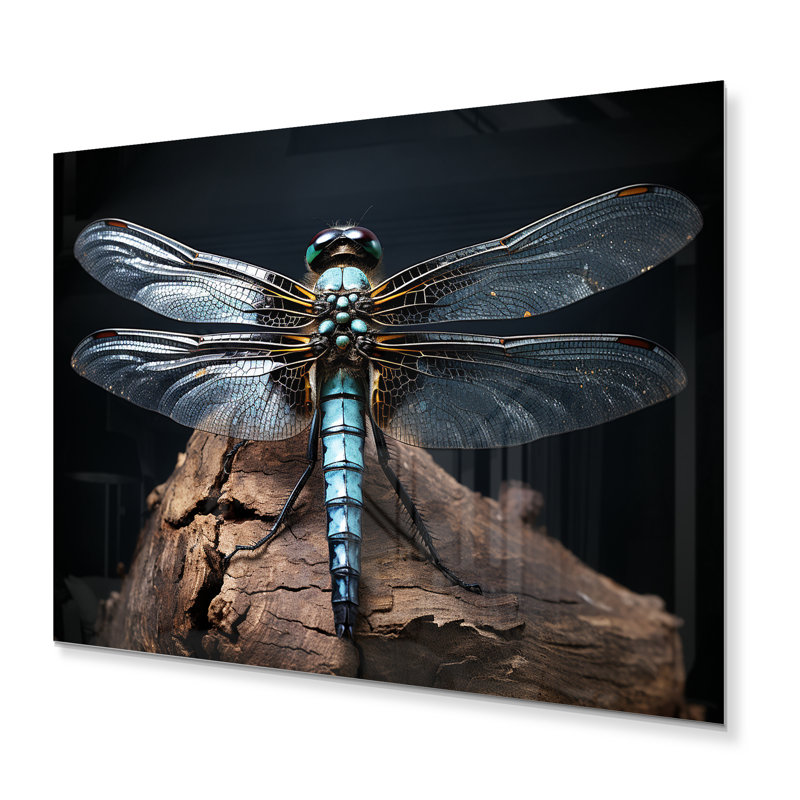 Décoration murale sarcelle libellule I - animaux en métal, H 12 po x l 20 po x P 1 po