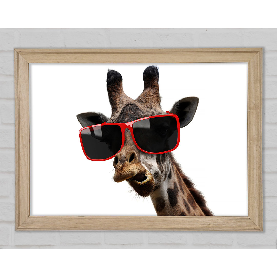 Funky Faced Giraffe Gerahmter Druck