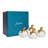 Forest Walk Pumpkin Place Card Holder-116105605