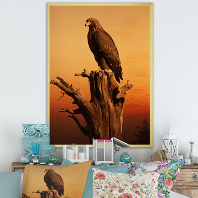 " Brown Resiliant Bold Eagle II "