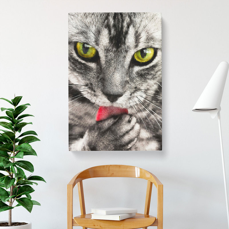 Portrait Of A Cat Vol.9 - Wrapped Canvas, 50cm H x 35cm W x 3cm D