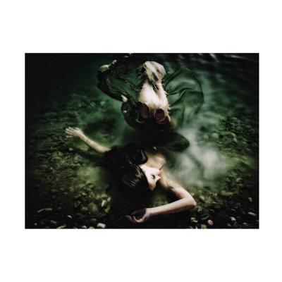 Erkan Camlilar Mermaid Canvas Art