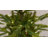 Alberta Spruce Artificial Christmas Tree-55836867