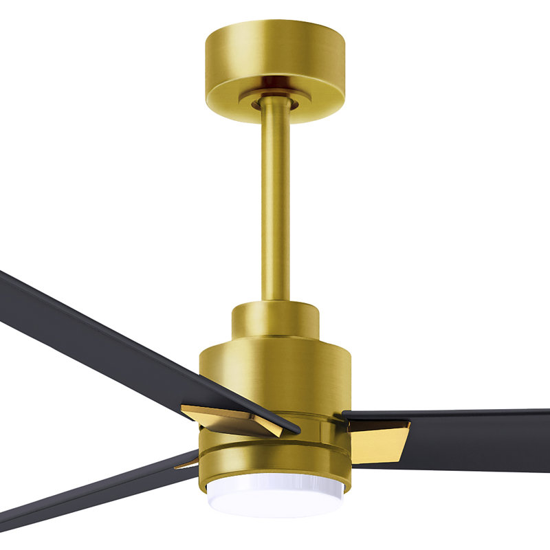 Alessandra - Three Blade Transitional Ceiling Fan -LED, Brushed Brass, 56", Matte Black