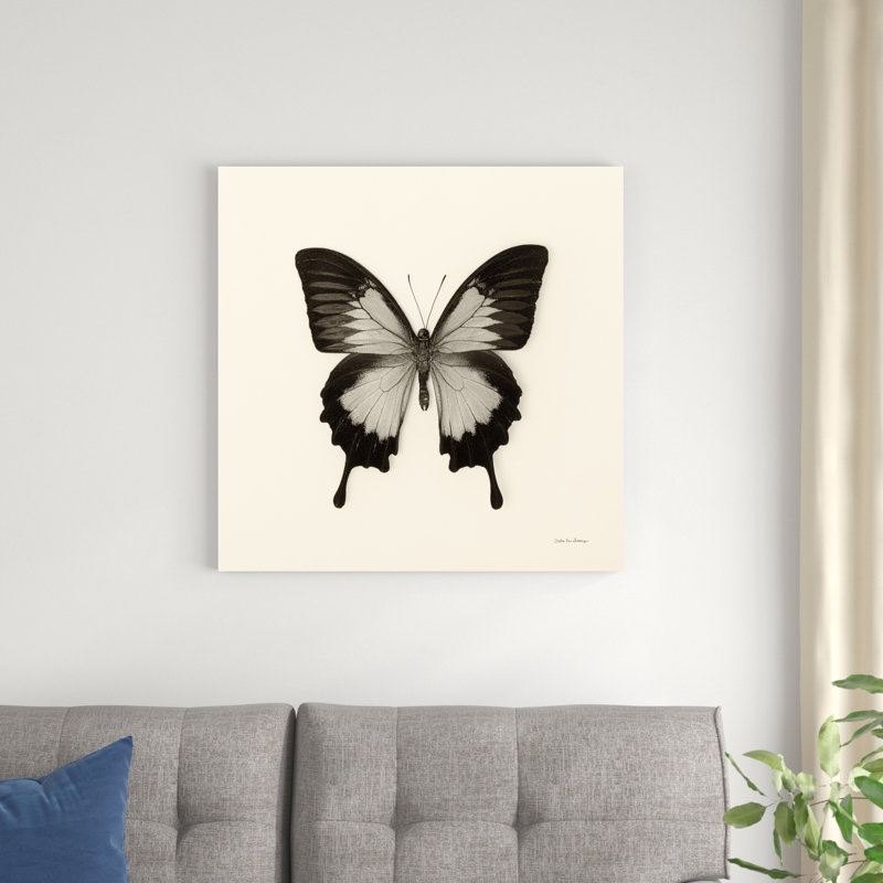 Papillon III BW, H 30 po x l 30 po x P 1,25 po