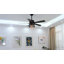 Ventilateur de plafond 52 po avec ensemble de lumières Antre