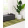 Roshaun Indoor Rug