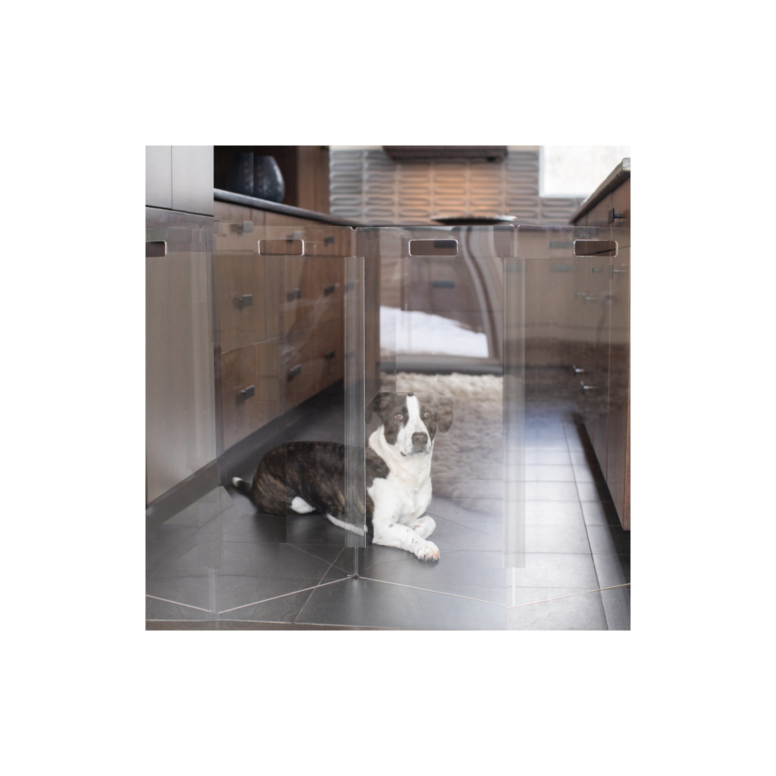 Tall Zig Zag Clear Pet Gate, 4-Panel